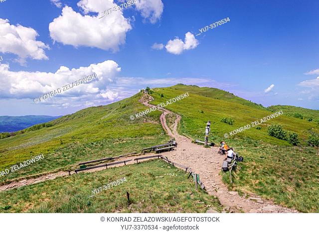 Tourist trail at Orlowicz mountain pass to Mount Smerek, part of Wetlina High Mountain Pasture in Western Bieszczady Mountains in Poland