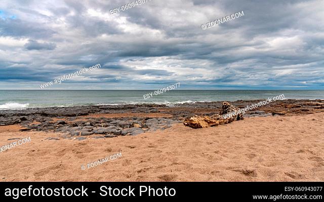 A tree trunk under a dramatic sky at Cocklawburn Beach near Berwick-upon-Tweed in Northumberland, England, UK