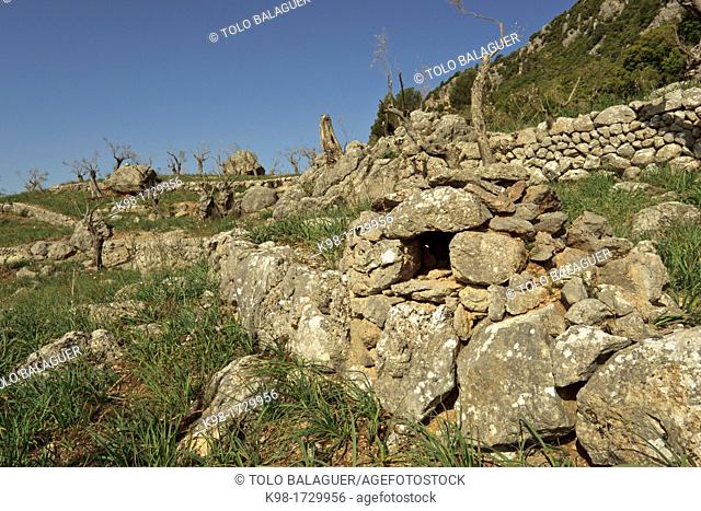 stone oven, Olivar del Pla Del Bosc Of Son Palou, Valley Orient, Bunyola Mallorca Balearic Islands Spain