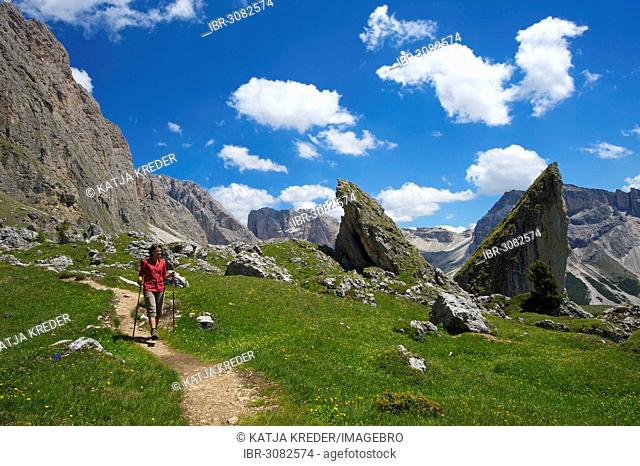 Woman hiking on the Malga Alm alpine pasture below the Odle Mountains, Seceda Mountain