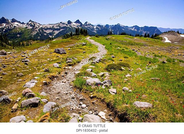 Mountain trail, Tatoosh Mountains, Mount Rainier National Park, Washington State, USA