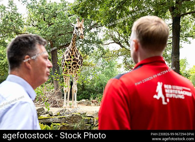 26 August 2023, Lower Saxony, Hanover: Andreas Casdorff (l-r), managing director of Hannover Adventure Zoo, and Per Mertesacker, former national soccer player