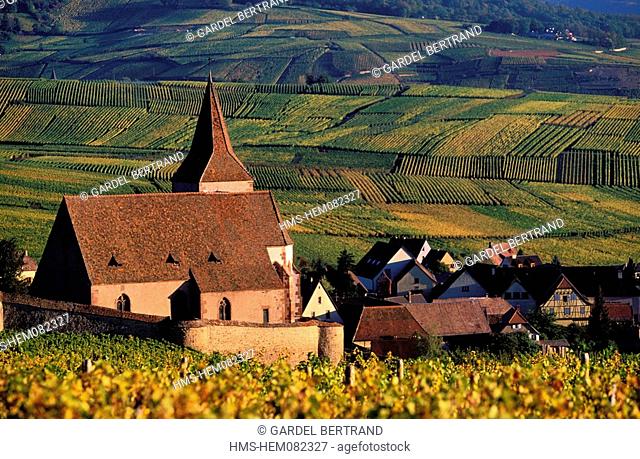 France, Haut Rhin, the Alsace Wine Route, Hunawihr village, labelled Les Plus Beaux Villages de France The Most Beautiful Villages of France, Saint Hune Church