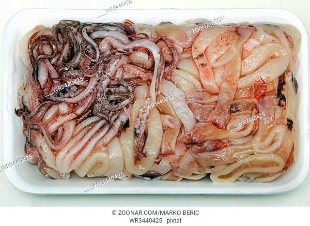 Frozen Squid Cut Into Flat Pieces at Tray