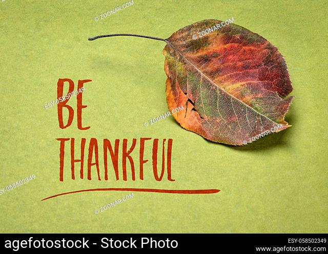 be thankful inspirational writing on handmade rag paper with a dried leaf (asian pear tree), Thanksgiving concept
