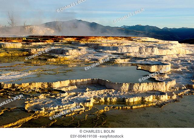 Travertine terraces of Mammoth Hot Springs at sunrise, Yellowstone National Park, Wyoming, USA