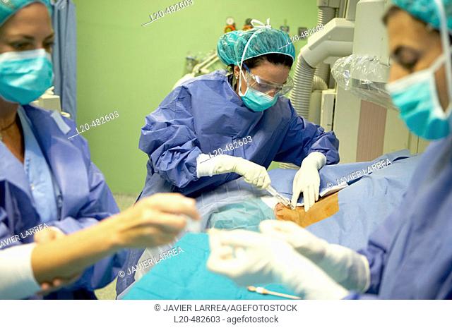 Interventional and vascular radiology. Hospital Universitario Gran Canaria Doctor Negrin, Las Palmas de Gran Canaria. Canary Islands, Spain