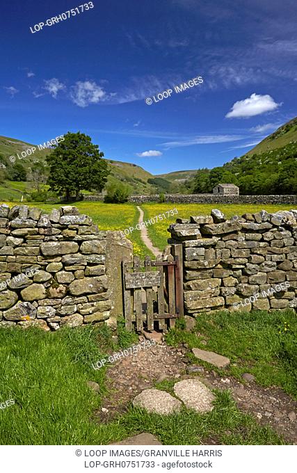 A path and gate leading through the early summer buttercup meadows near Muker in Swaledale
