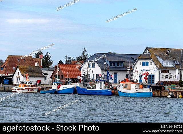 Fishing boats are moored in the harbor Vitte, Baltic Sea island Hiddensee, Mecklenburg-Western Pomerania, Germany