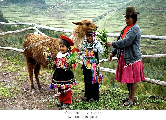 Peru, Pisac, children and vicuna