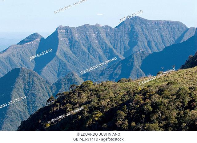 It in the Boundary among States of Rio Grande do Sul and of Santa Catarina, trimmed of the mountain, São José dos Ausentes, Rio Grande do Sul, Brazil