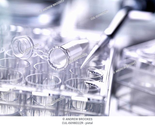 Pipette used to deliver samples sitting on multi well plates used in laboratory experiments