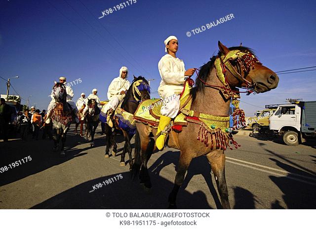 Arab Horses in Oualidia.Oualidia moussem Tatting. Costa Atlantica. Morocco. Maghreb. Africa