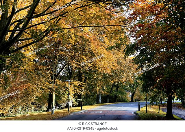 Autumn Colour, Barham, Elham Valley, Kent, UK