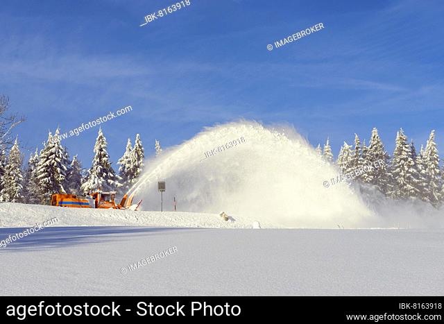 Snow blower milled road free, Schauinsland, Black Forest, Freiburg im Breisgau, Baden Wurttemberg, Germany, Europe
