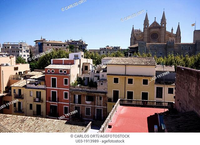 partial view of Palma de Mallorca old town seen from the Hotel Tres, Spain, Europe