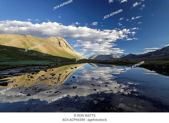 A small tarn reflects the surrounding hills at Wilcox Pass in Jasper National Park, Alberta, Canada