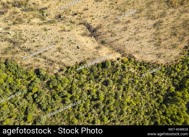 Aerial view of the forest burned in the Oliana - Peramola fire of 2022, under the Roc de Rombau (Alt Urgell, Catalonia, Spain, Pyrenees)
