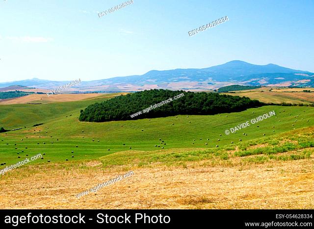 Tuscany hills view, Italy. Italian landscape, Toscana