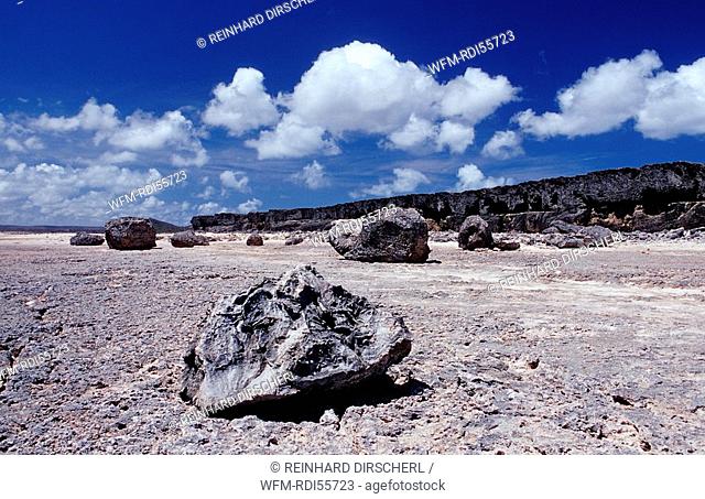 Desert landscape, Bonaire, Washington Slagbaai National Park, Supladó, Netherlands Antilles, Bonaire