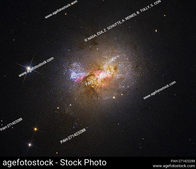 Dwarf starburst galaxy Henize 2-10 sparkles with young stars in this Hubble visible-light image. The bright region at the center