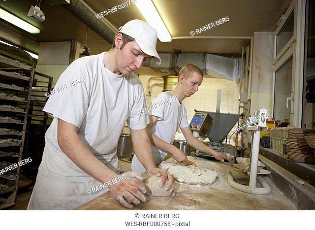 Germany, Bavaria, Munich, Bakers kneading dough