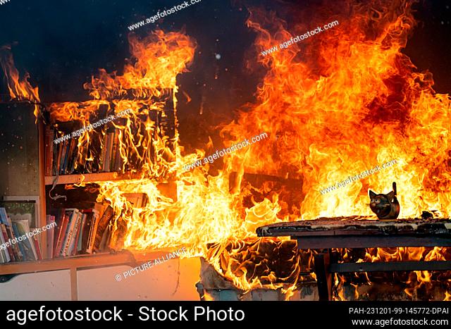 01 December 2023, Berlin: A room burns during a demonstration of a fire during the Christmas season on the grounds of the Berlin Fire Academy