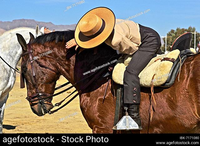 Spanish fiesta, horse tournament, young rider patting horse, feria in Andalusia, boy in Spanish riding traditional costume with hat, Andalusia, Spain, Europe