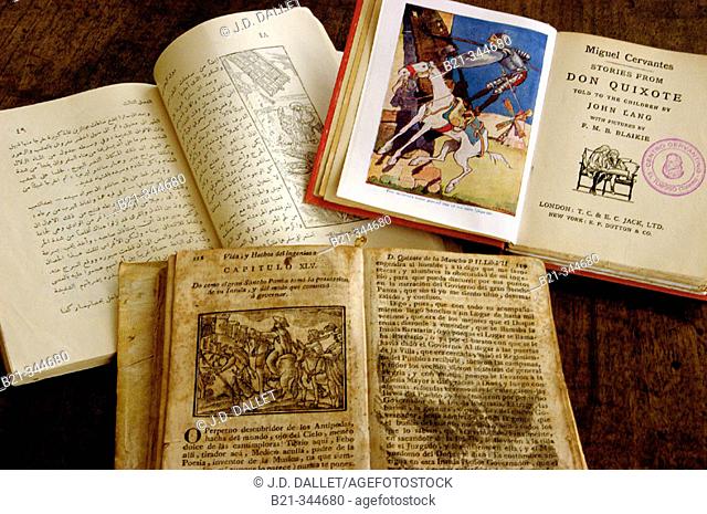 The 'Quixote' in more than 80 different languages at the library of El Toboso. Ciudad Real province, Spain