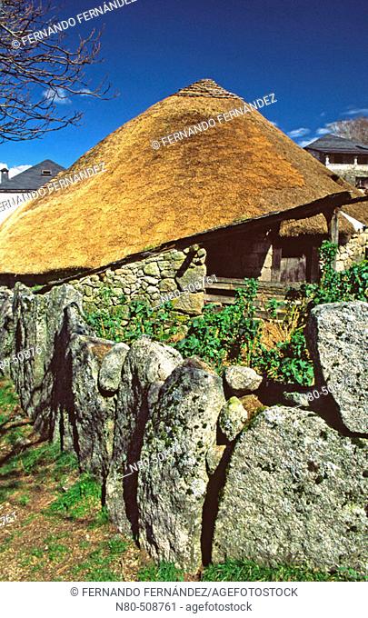 Palloza, typical house with vegetal roof, Pueblo de Piornedo, Los Ancares, Lugo province, Galicia. Spain