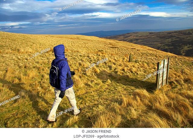England, Northumberland, Harthorpe Valley, Female hiker walking along Snear Hill in the Harthope Valley