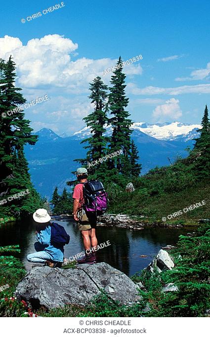 Couple hikes in alpine meadow atop Whistler, Whistler, British Columbia, Canada