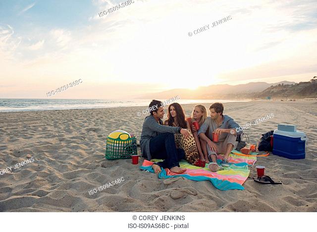 Group of friends having picnic on beach