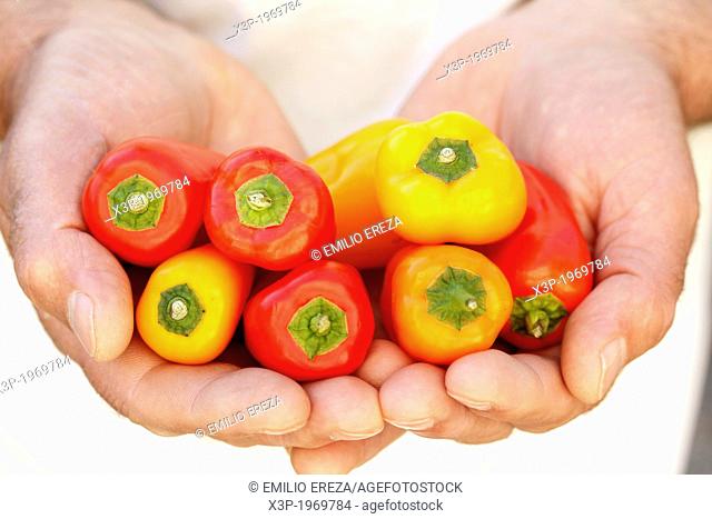 Minipeppers