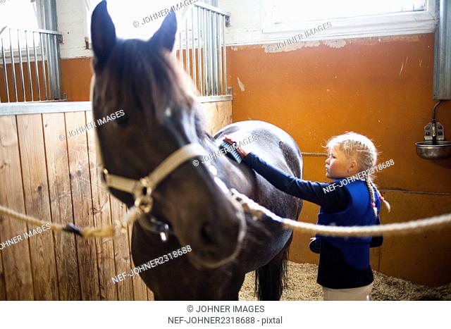 Girl brushing horse