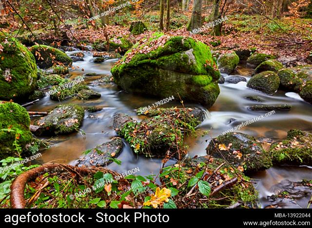Wild river Höllbach flows through in autumn, nature reserve Hölle, Bayern, Deutschland