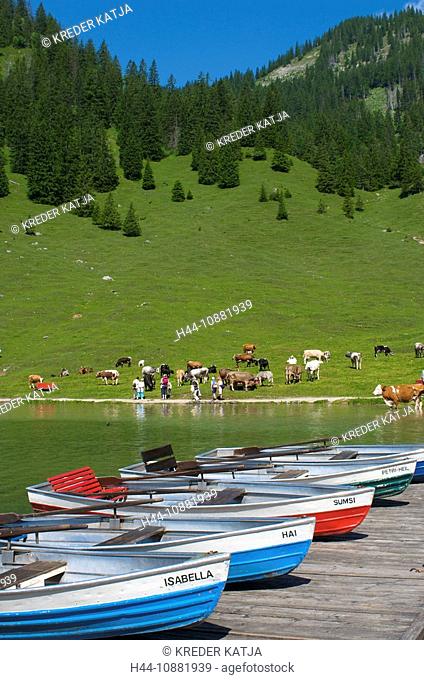 Austria, Europe, Tirol, Vilsalpsee, lake, sea, nature reserve, Tannheim valley, Tyrol, boats