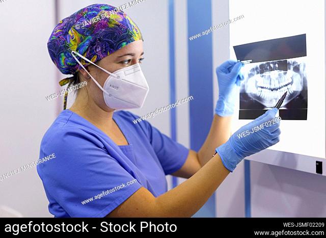 Female dentist examining medical x-ray at clinic during pandemic