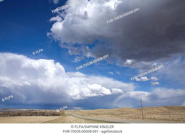 Cumulus congestus clouds over road through prairie, North Dakota, U.S.A., April