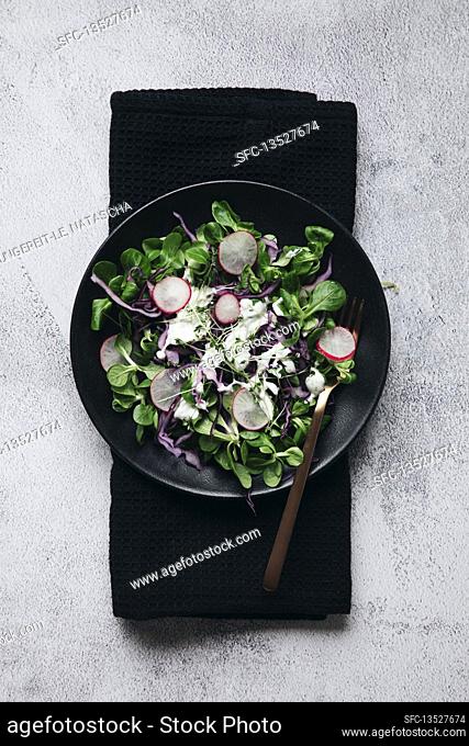 Lamb's lettuce with red cabbage, radishes and yoghurt dressing