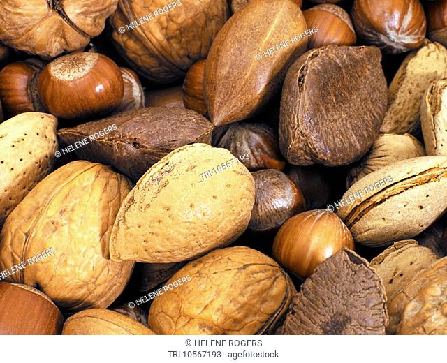 Mixed Nuts Walnuts Pecans Almonds Hazelnuts and Brazil Nuts