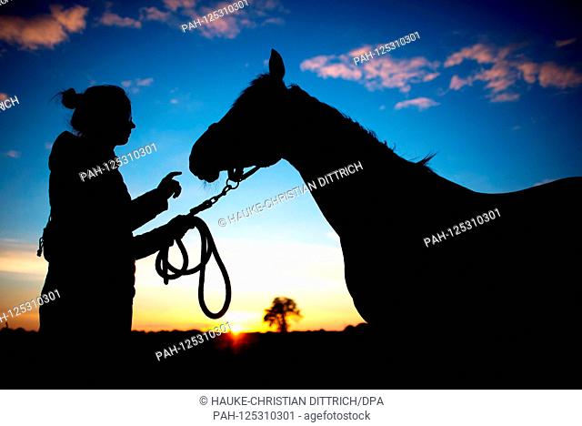 The silhouette of a young woman and her horse in front of the evening sky in Wardenburg (Germany), 10 July 2018. | usage worldwide