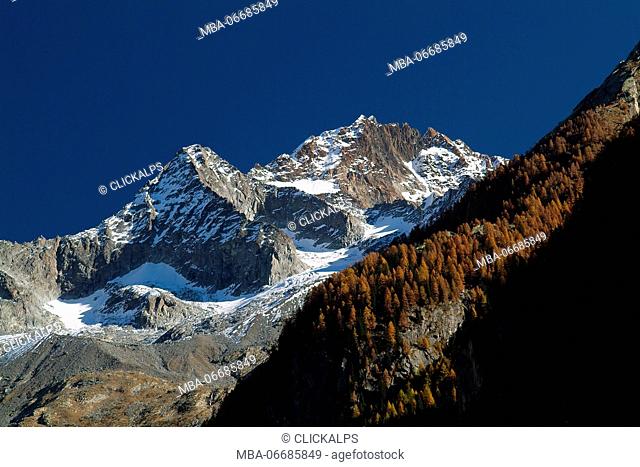 Mount Disgrazia and Mount Pioda surrounded by autumn colors of the Mello Valley. Valmasino Valtellina. Lombardy Italy Europe
