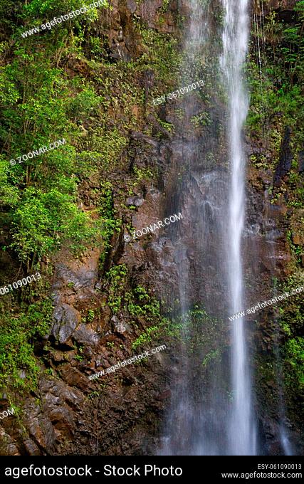 Wasserfall im Urwald in der Nähe des Wailua River auf Kauai, Hawaii, USA. Waterfall in the jungle near the Wailua River on Kauai, Hawaii, USA