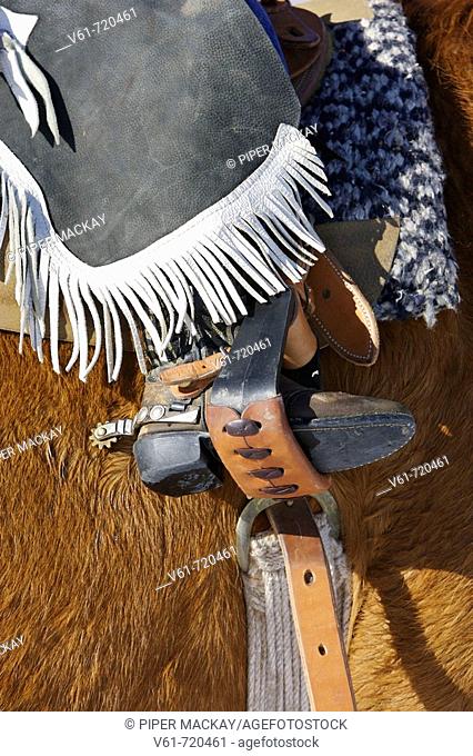 Close-up of a young cowboy's boot in a stirrup, Shell, Wyoming. Usa