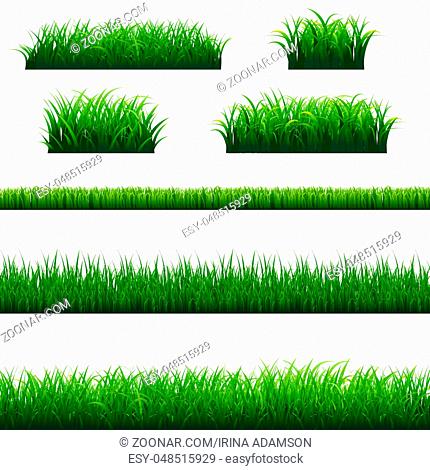 Green Grass Frame Big Set, Vector Illustration