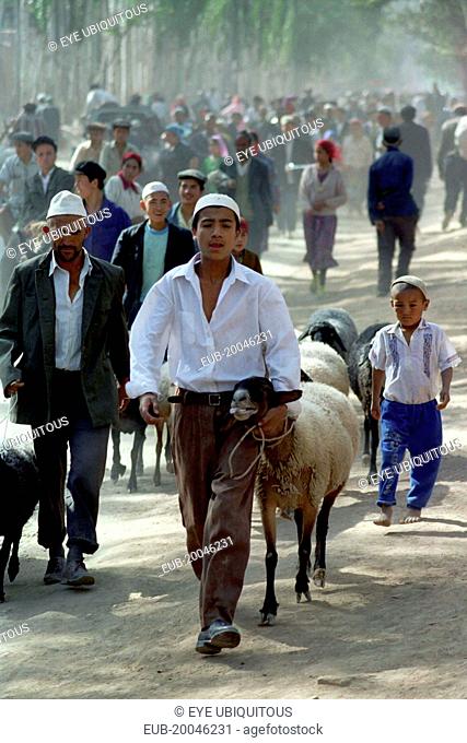 Boy and man leading sheep along the roadside to market