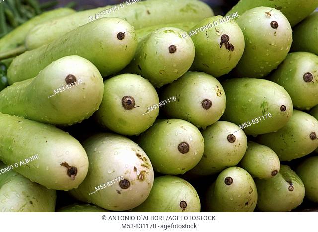 bottle gourd lagenaria siceraria on sale in a stall
