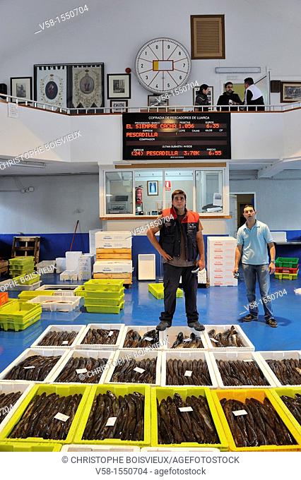 Spain, Asturias, Luarca, Fish auction