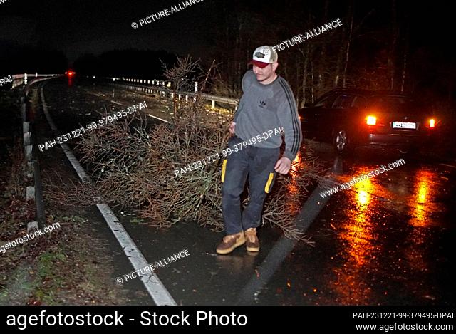 21 December 2023, Rhineland-Palatinate, Molzhain: Driver Denisz pulls a fallen tree from the roadway of the L288 near Molzhain